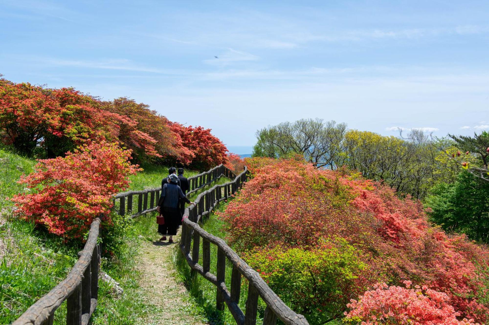 Minami Sanriku Hotel Kanyo Shizugawa Esterno foto